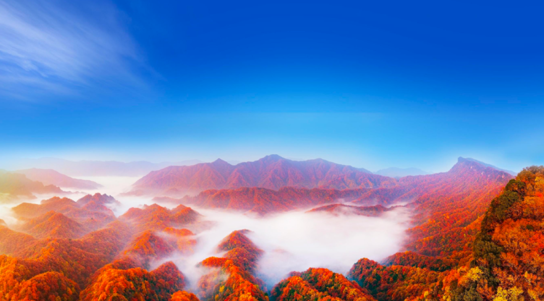 msn, 与山间红叶, 的巴中人 msn, 与山间红叶, 的巴中人